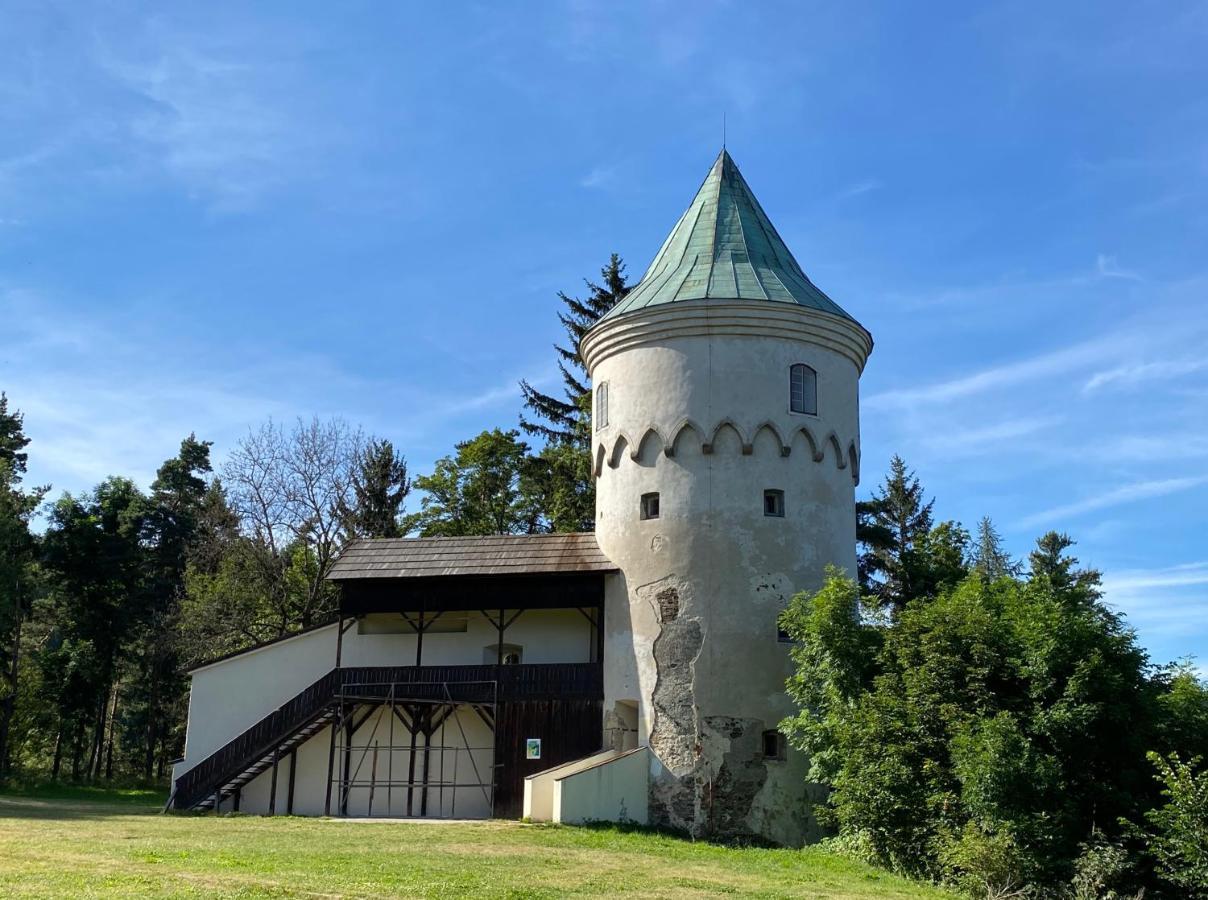 Vila Яхимів Екстер'єр фото